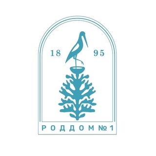 РОДИЛЬНЫЙ ДОМ №1 СПБ