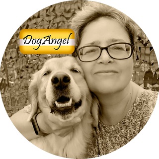 DOGANGEL ЗОЛОТИСТЫЕ РЕТРИВЕРЫ / ЖИВОТНЫЕ / ПИТОМЦЫ