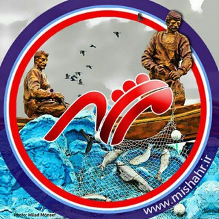 گروه می شهر
