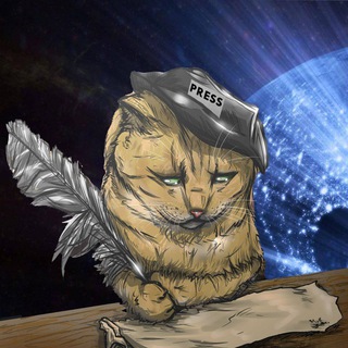 CATNEWS