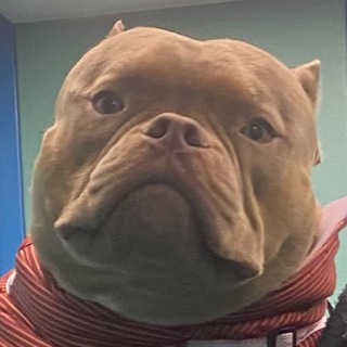 ВЕРЕСКОВЫЙ МЁД