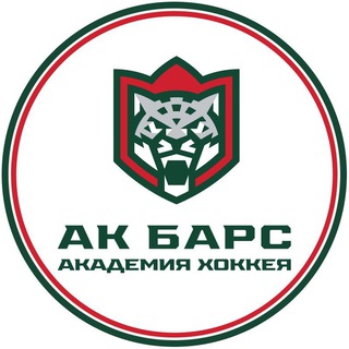 «АКАДЕМИЯ ХОККЕЯ АК БАРС»