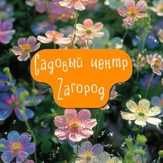 ZAГОРОД УССУРИЙСК
