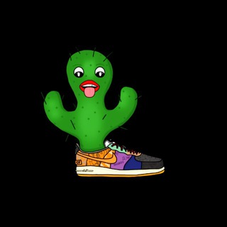 CACTUSFORCE
