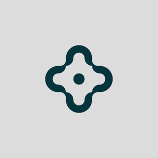 SALINI SRL