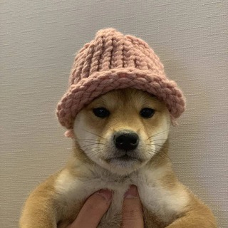 CRYPTONEWS 