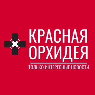 КРАСНАЯ ОРХИДЕЯ