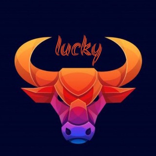 LUCKY BULLS