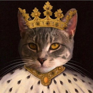 THE KING OF MEMES
