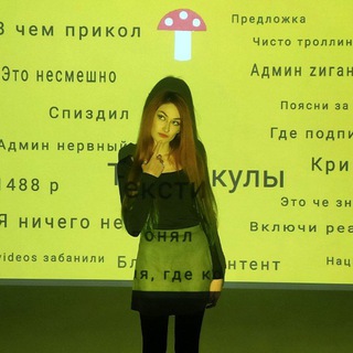ТЕКСТИКУЛЫ NEW