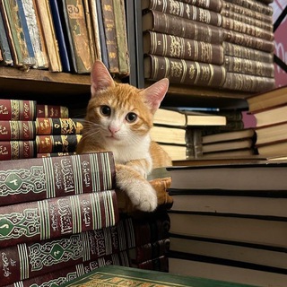 ГЛАЗАМИ МУСУЛЬМАНИНА