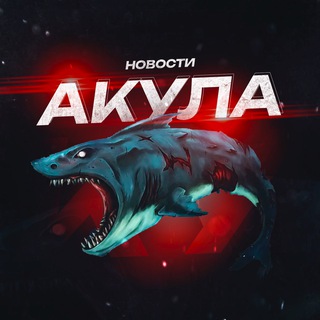 АКУЛА | НОВОСТИ