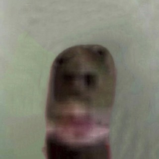 АЧЁ)