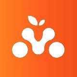 MANDARIN TOUR