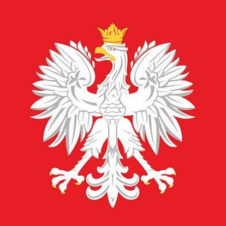ПОЛЬСКИЙ В ОПРОСАХ N+1