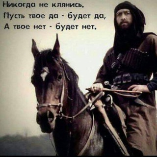 В КАНАЛЕ. ГРУЗЫ, НОВОСТИ, СИТУАЦИЯ НА ДОРОГАХ.