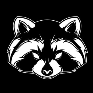 COMBAT RACCOON