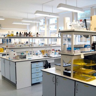 LAB-NEWS