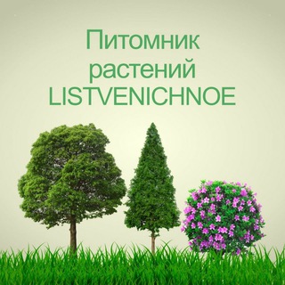 PITOMNIK LISTVENICHNOE
