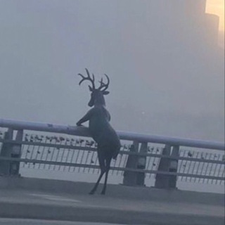 ФИЛОСОФИЯ КРИНЖА 