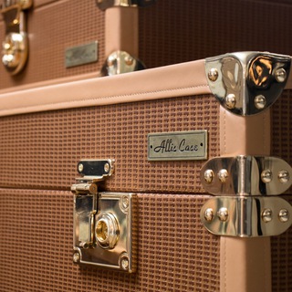 ALLIS CASE