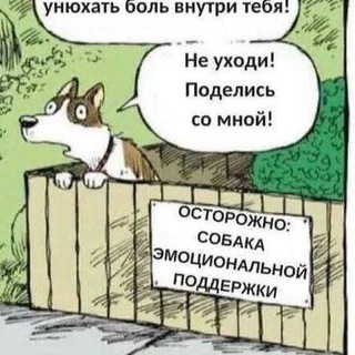МЕМ-ТЕРАПЕВТ.