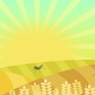 GRASSHOPPER FARM