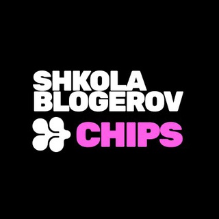 ШКОЛА CHIPS
