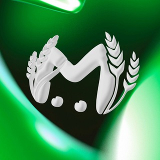 КУБ МЭШ ЧАТ