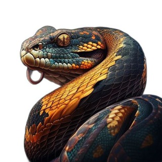 PYTHON FOR YOU