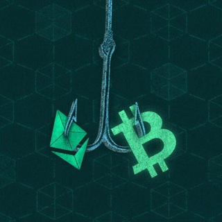 CRYPTAN WHALE