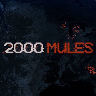 2000MULES