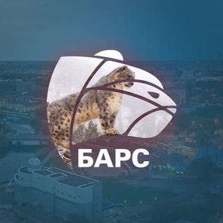 IVANOVONEWS | БАРС | НОВОСТИ | ИВАНОВО