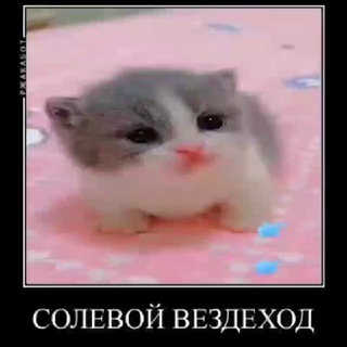СОЛЕВОЙ ВЕЗДЕХОД