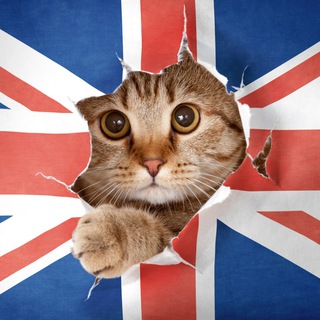 ENGLISH IN POLLS | ENDLICH LANGUAGE