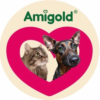 AMIGOLD.SHOP