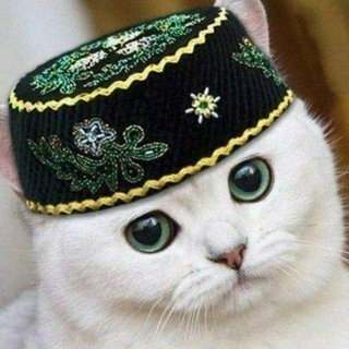 АБАУ