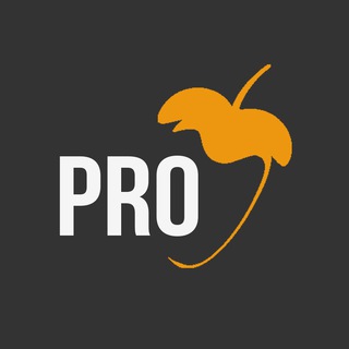 FL STUDIO PRO