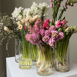 ВИТРИНА KRAFTFLOWERS