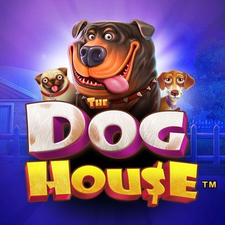 CASINO THE DOG HOUSE