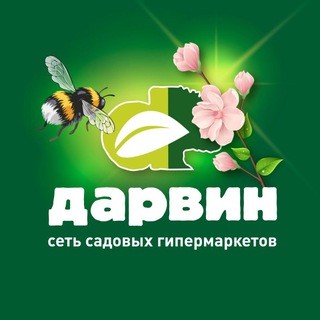 ДАРВИН