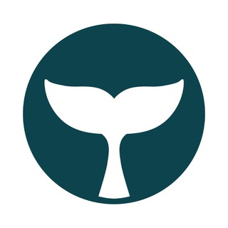BELUGAPAY OFFICIAL