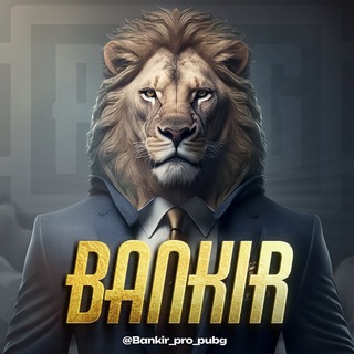 BANKIR PRO PUBG
