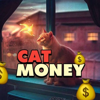 CAT MONEY 