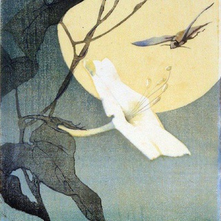 LUNA FLORE