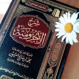 ARABIYAHH | АРАБСКИЙ ОНЛАЙН