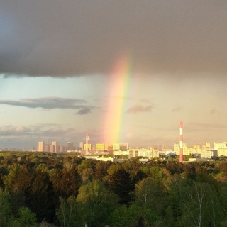 МЕЩЕРСКИЙ ЛЕС. НОВОСТИ