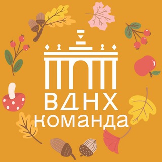 КОМАНДА ВДНХ
