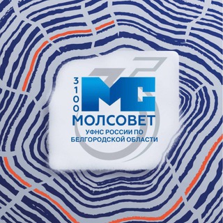 МОЛОДЕЖНЫЙ СОВЕТ УФНС РОССИИ ПО БЕЛГОРОДСКОЙ ОБЛАСТИ