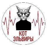КОТ ЭЛЬВИРЫ